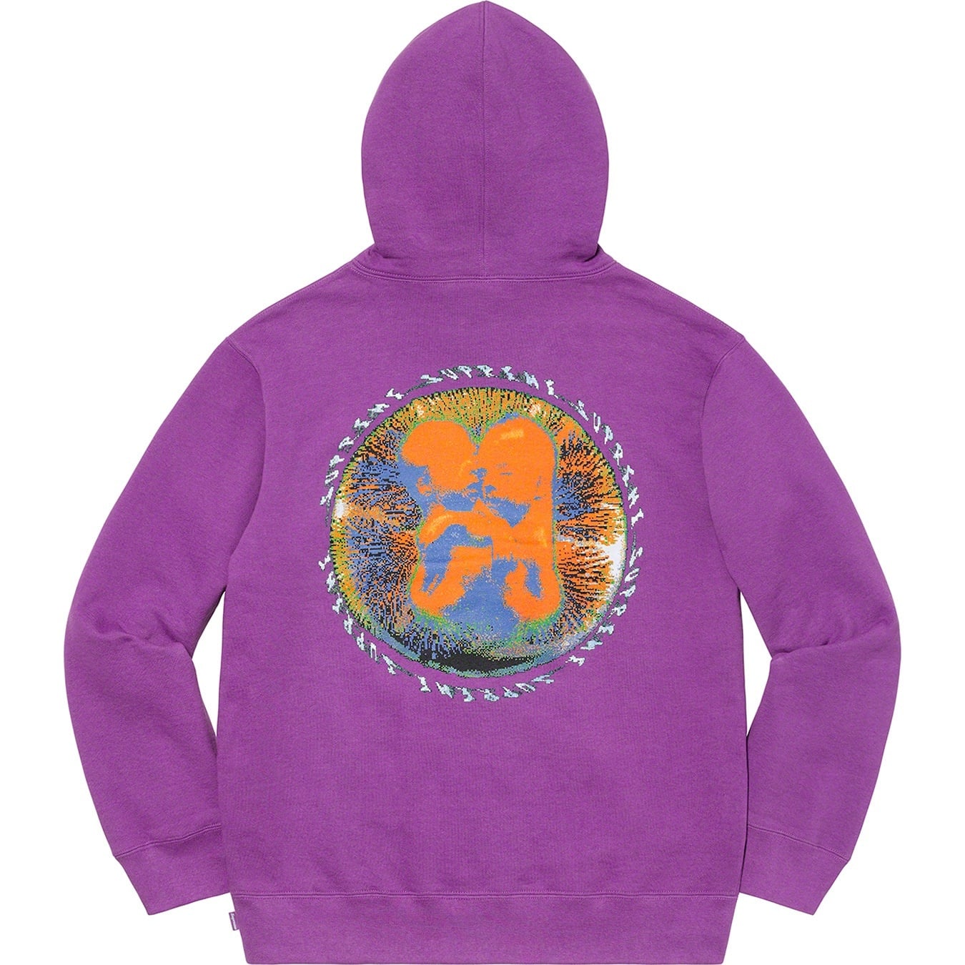 Embryo Hooded Sweatshirt view 8